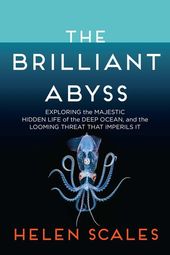 The Brilliant Abyss