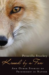 Kissed by a Fox