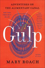 Buy Gulp at Amazon