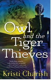 Buy Owl and the Tiger Thieves at Amazon