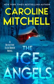 Buy The Ice Angels at Amazon