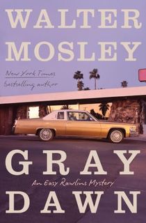 Gray-Dawn Gray Dawn