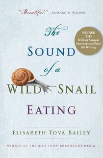 The-Sound-of-a-Wild-Snail-Eating The Sound of a Wild Snail Eating