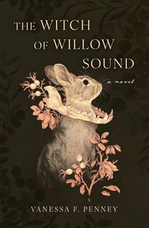 The-Witch-of-Willow-Sound:-A-Novel The Witch of Willow Sound: A Novel