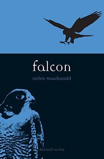 Falcon