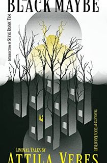 The Black Maybe: Liminal Tales