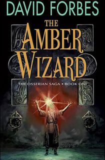 The-Amber-Wizard The Amber Wizard