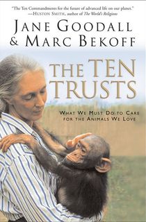 The-Ten-Trusts The Ten Trusts