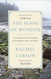 The Sense of Wonder