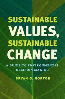 Sustainable Values, Sustainable Change