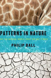 Patterns in Nature