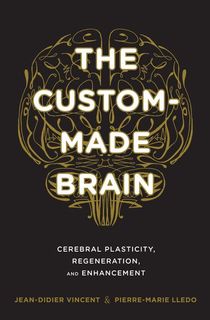 the custom-made brain, a book about the brain