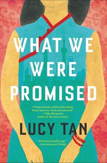 What We Were Promised