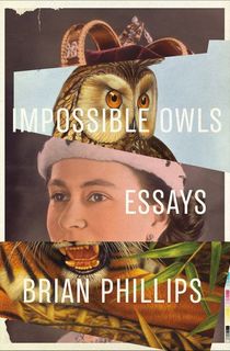 Impossible-Owls Impossible Owls