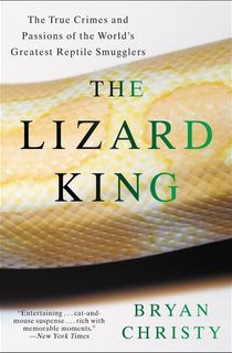 The-Lizard-King The Lizard King
