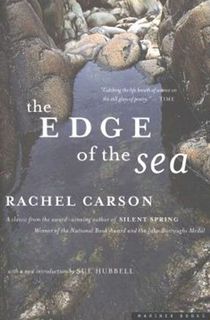 The Edge of the Sea