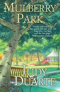 mulberry park, a christian fiction book