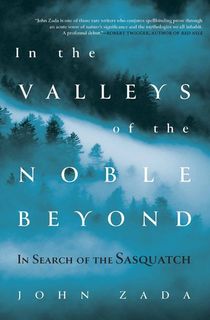 In the Valleys of the Noble Beyond