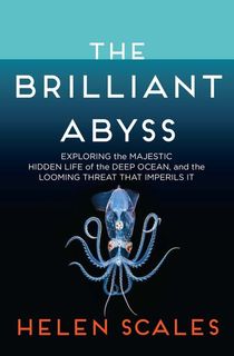 The Brilliant Abyss