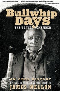 bullwhip days, an african american history book