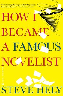 how i became a famous novelist, a satire book