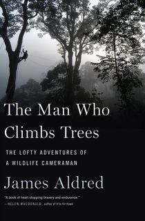 The Man Who Climbs Trees