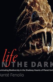 Life in the Dark