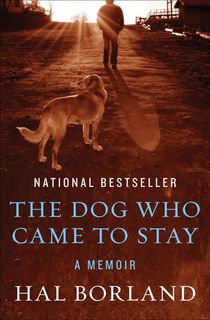 The Dog Who Came to Stay