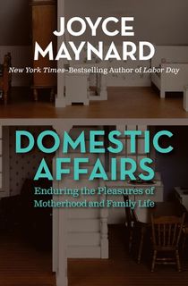 domestic affairs, a book about motherhood