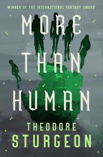 More-Than-Human More Than Human