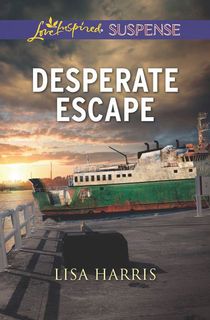 desperate escape, a romantic suspense book