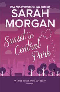 sunset in central park, a romance with a book boyfriend