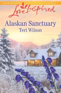 alaskan sanctuary, a closed door romance novel