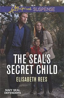 the seal's secret child, a secret baby romance book