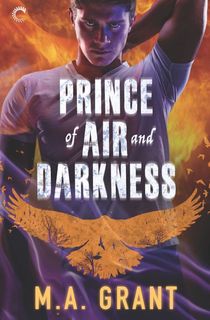 Prince of Air and Darkness