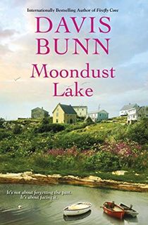 moondust lake, a sad romance book