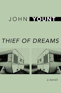 thief of dreams, a book like the extraordinary life of sam hell