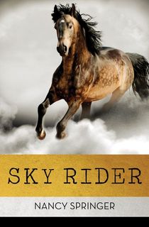 Sky Rider