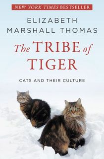 the tribe of tiger, a cat book