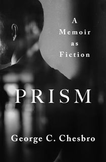 prism, an autobiographical novel