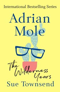 adrian mole the wilderness years, a funny book