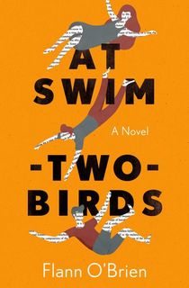 at swim-two-birds, a good book club book