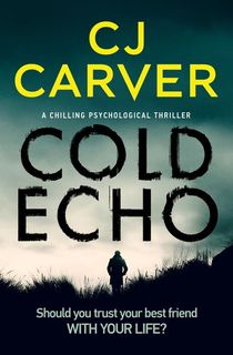 cold echo, a psychological thriller book