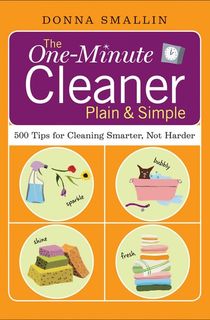 The One-Minute Cleaner Plain & Simple