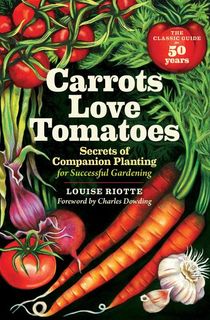 Carrots Love Tomatoes