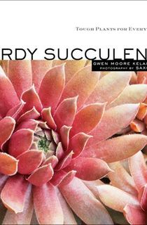 Hardy-Succulents Hardy Succulents