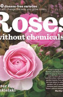 Roses-Without-Chemicals Roses Without Chemicals