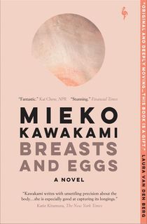 breasts and eggs, a contemporary fiction novel