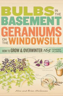 Bulbs-in-the-Basement,-Geraniums-on-the-Windowsill Bulbs in the Basement, Geraniums on the Windowsill