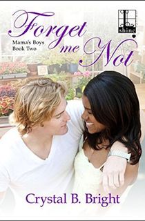 forget me not, a nerdy romance book